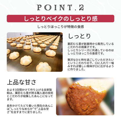 しっとりオールスターベイク "笑顔ほころぶ和スイーツの詰め合わせ"