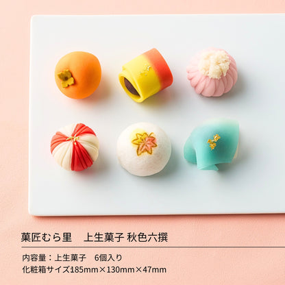 上生菓子 "秋色六撰" 練り切り